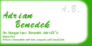 adrian benedek business card